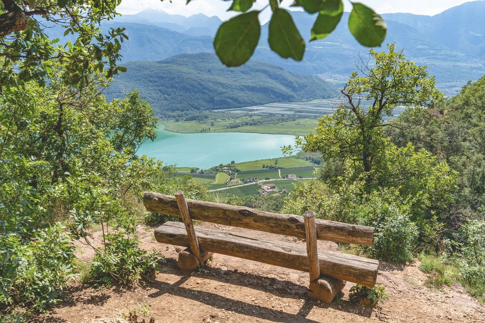 Wooden bench overlooking a scenic lake and mountains through green foliage Wooden bench overlooking a scenic lake and mountains through green foliage